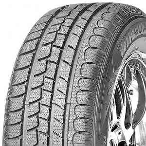 Nexen Winguard Snow G 205/55 R16