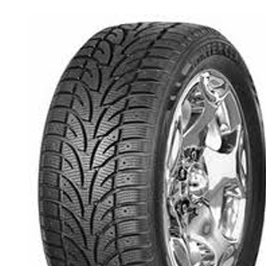 Winterclaw Extreme 205/55 R16